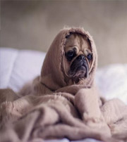 来宾有这样的手机号码，留不住钱，你中枪了吗？