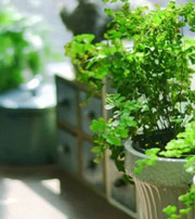 来宾专属于你的开运指南，助你鸿运当头福满身！