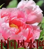 来宾预示你财运上升，姻缘可成的梦境，快来看看吧！