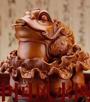 来宾解读金蟾最合适的位置，这样摆放更招财！