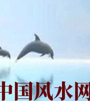 来宾做梦梦到这些，是要富裕的征兆！